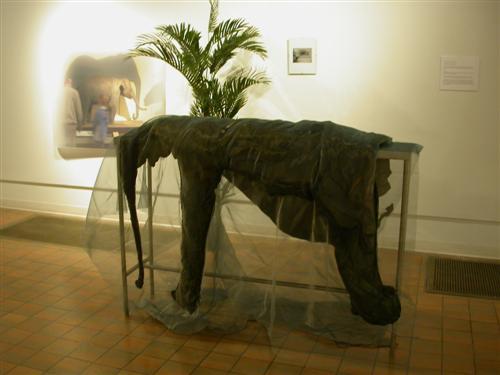 berlin elephant 010.jpg - Persistence of Insincerity 2010 installation